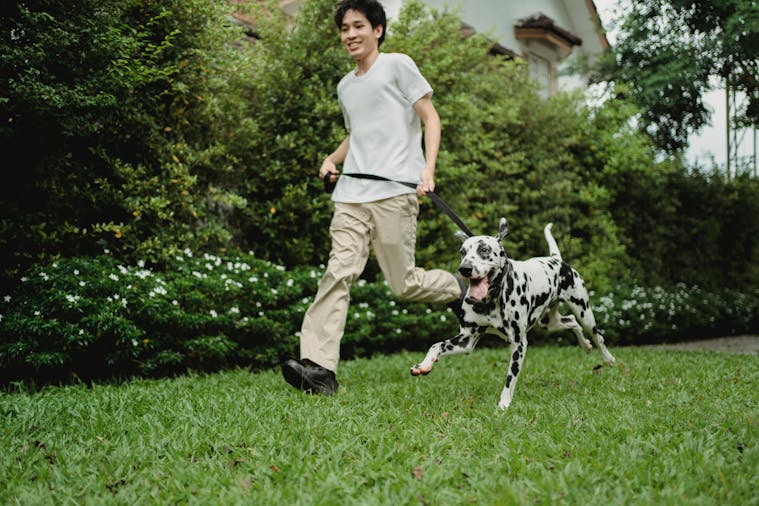 Energetic young man running with a Dalmatian in a lush garden, enjoying the outdoors and companionship.
