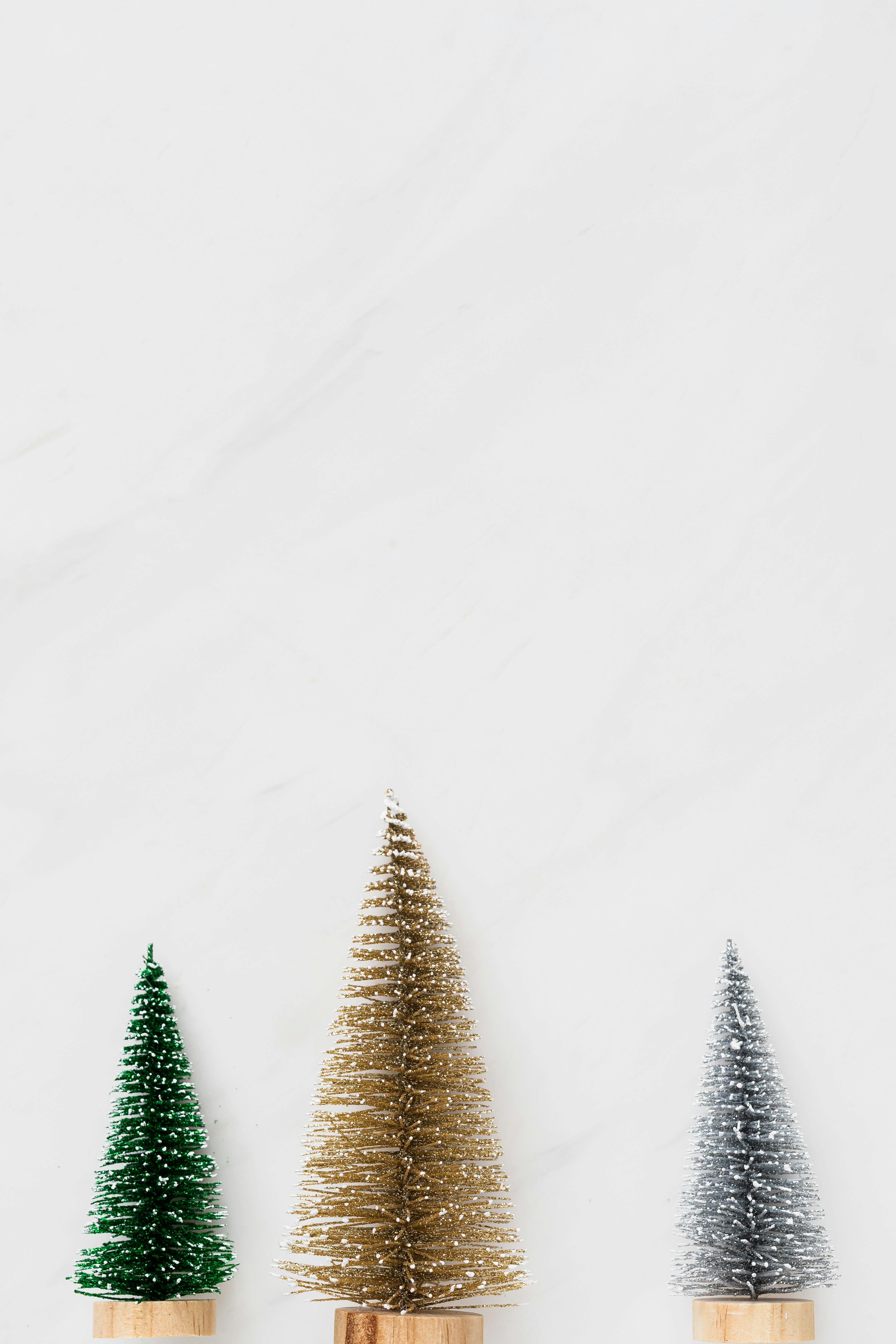 pexels-photo-5485118.jpeg