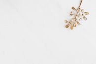 Brown and White Flower on White Textile