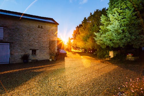 Casa Marrone Vicino Alberi Verdi