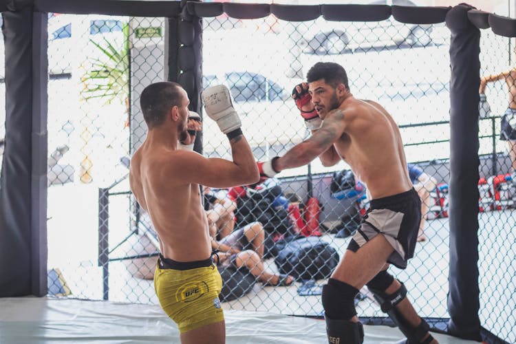 Two Men Fighting In A Cage