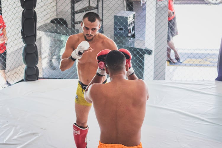 Athletes Fighting In Cage