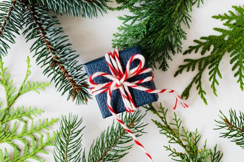 Free Close Up of Small Christmas Gift Stock Photo