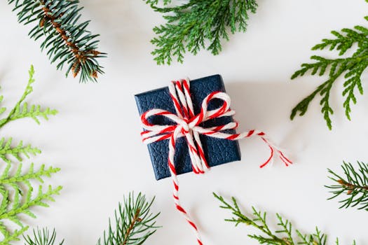 Top view of a festive gift box surrounded by evergreen branches on a white background.
