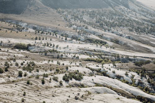 Steppe Landscape 