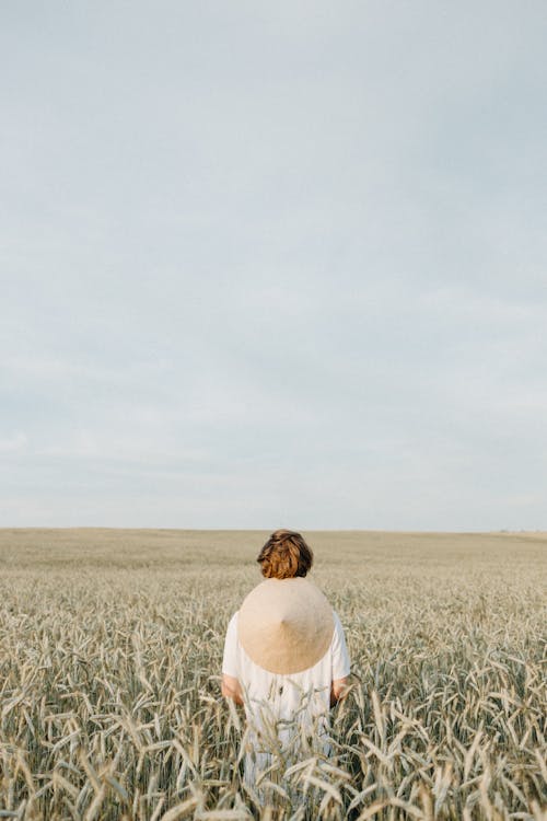 Back View of a Person Wearing Coolie Hat Standing Alone in the Middle of the Wheat Field