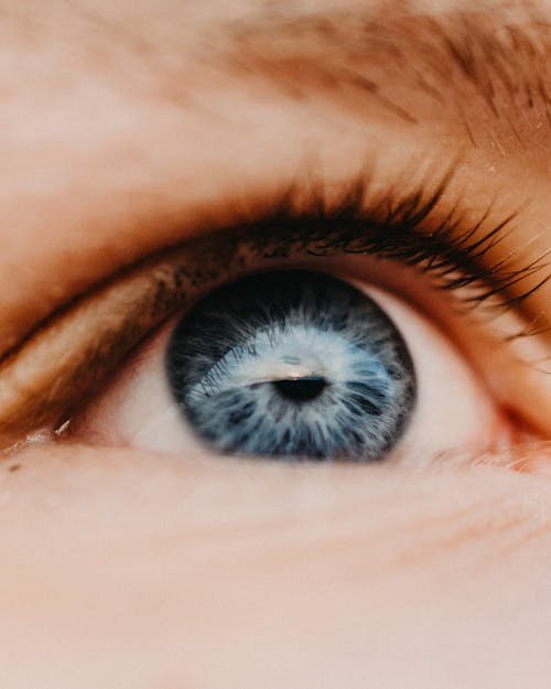 Extreme Close-Up Photo of a Human Eye