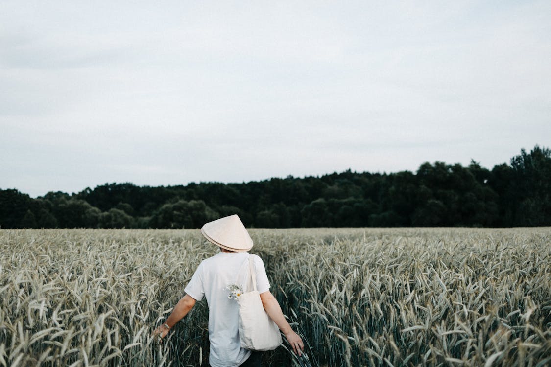 Man in White Shirt and Conical Hat Standing on Cropland