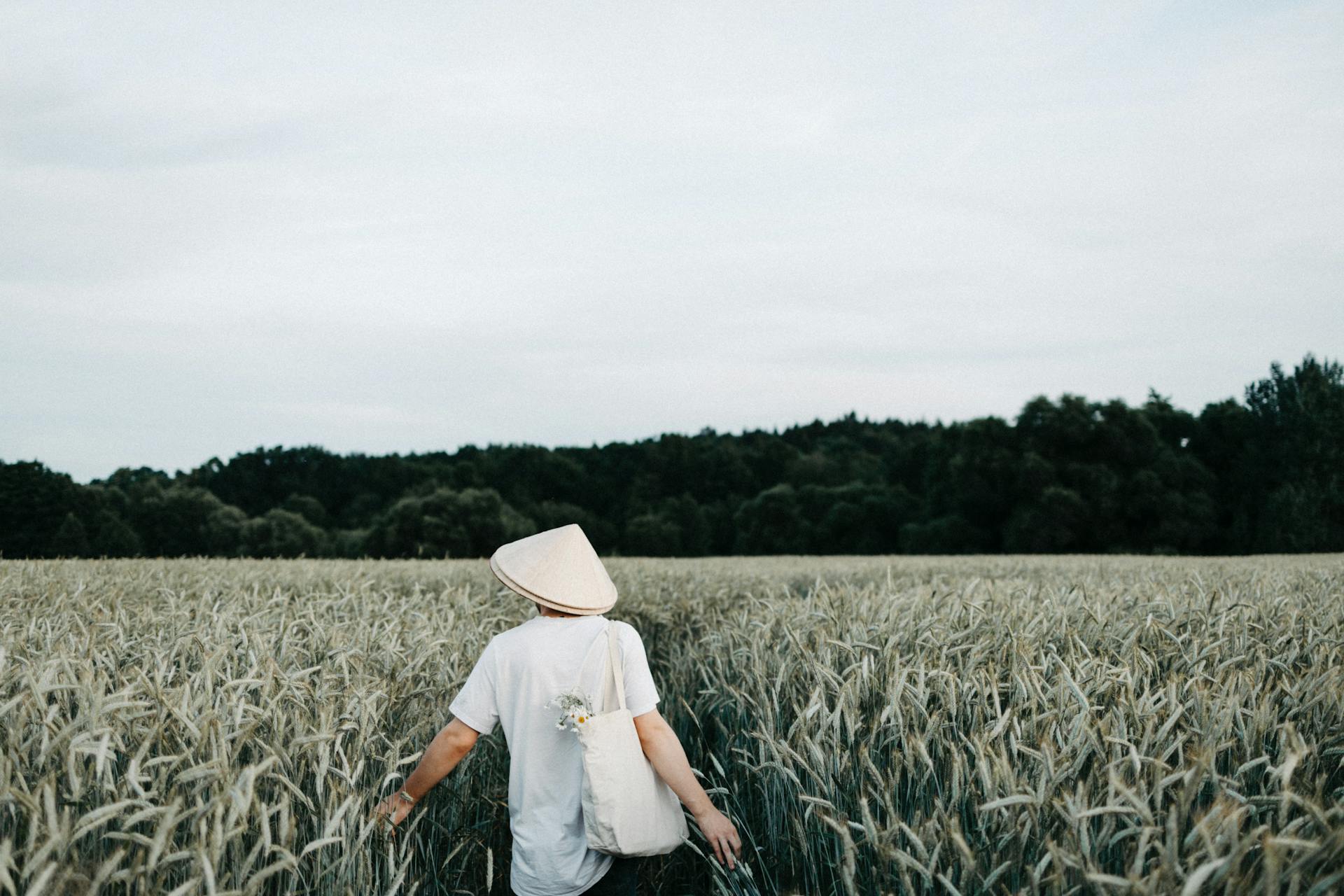 A farmer in a conical hat exploring a lush wheat field during the day.