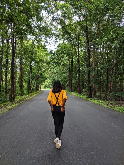 Free A woman walks down a forest road, surrounded by lush green trees. Ideal for nature or travel themes. Stock Photo