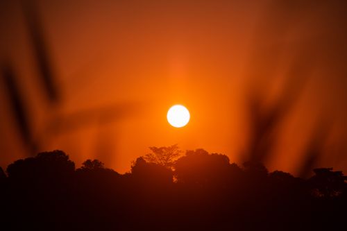 Free A stunning sunset with a bright orange sky and silhouetted trees, creating a serene nature scene. Stock Photo