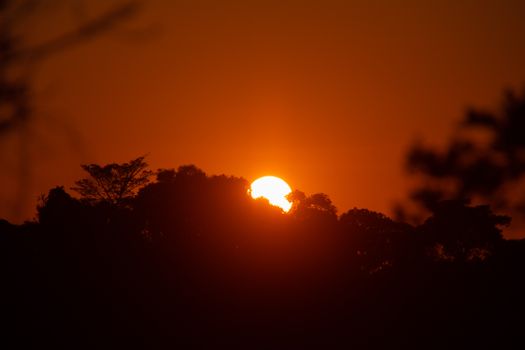 Beautiful sunset with vibrant orange sky and tree silhouettes.