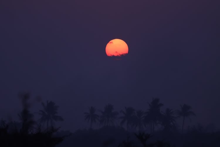 Orange Moon And Navy Blue Sky