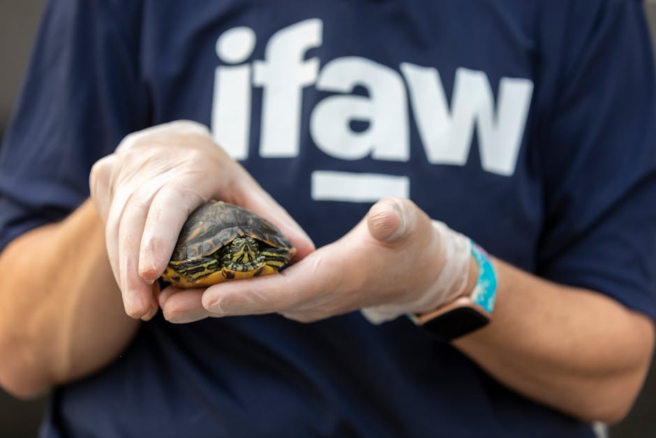 Get Involved in Wildlife Conservation Efforts