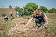 Volunteers Planting Trees
