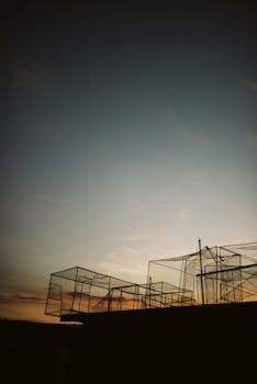 Silhouette of a construction framework against a colorful sunset sky, symbolizing development.
