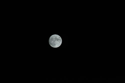 Free A vivid capture of the full moon against a pitch-black night sky. Stock Photo
