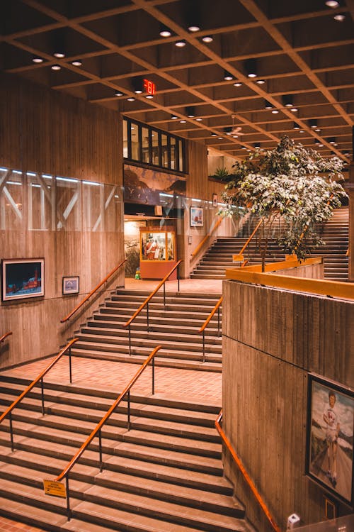 Modern building interior with stairs and flowers