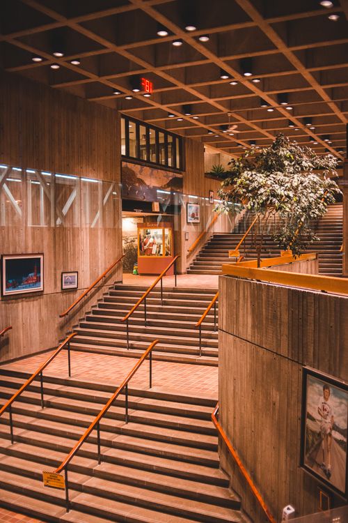 Free Interior of contemporary building with staircases and handrails under geometric ceiling with shiny lamps Stock Photo