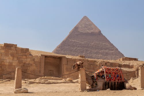 Free Camel Near Brown Pyramid Under the Sky Stock Photo