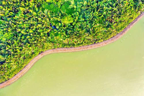 Fotos de stock gratuitas de agua, césped, foto con dron