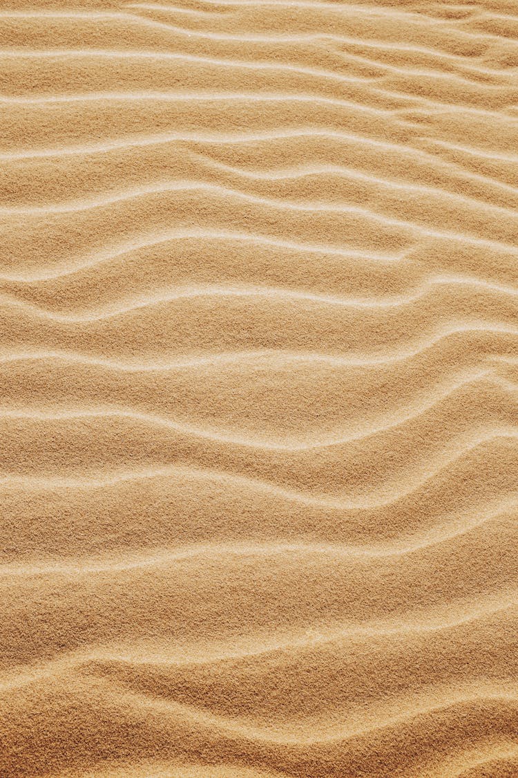 Fine Sandy Dunes In Dry Desert