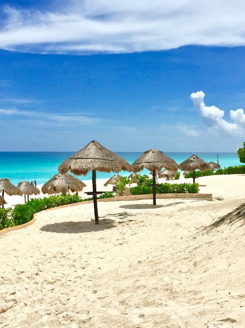 Brown Wooden Beach Lounge Chairs on Beach Shore