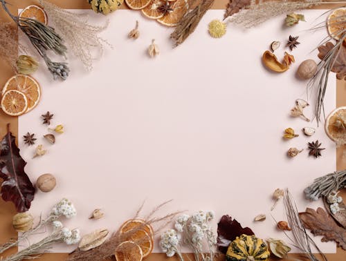 Dried Fruits and Flowers on White Blank Paper 