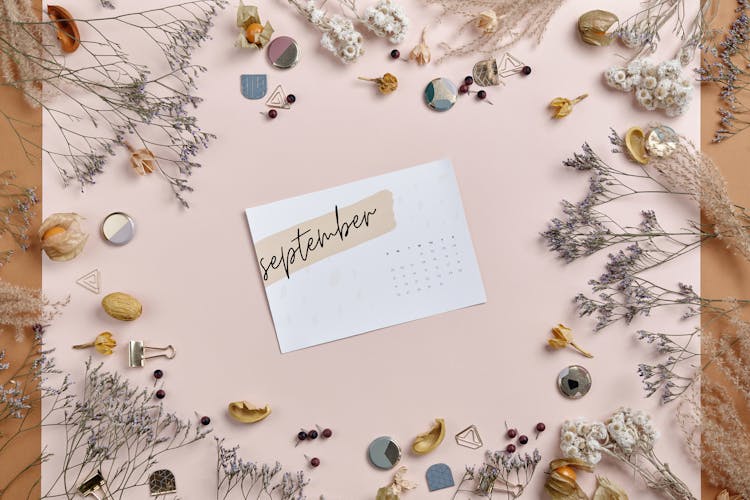 Printed September Calendar Paper Surrounded By Dried Flowers 