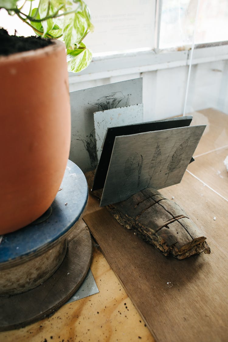 Metal Sheets Near Potted Plant