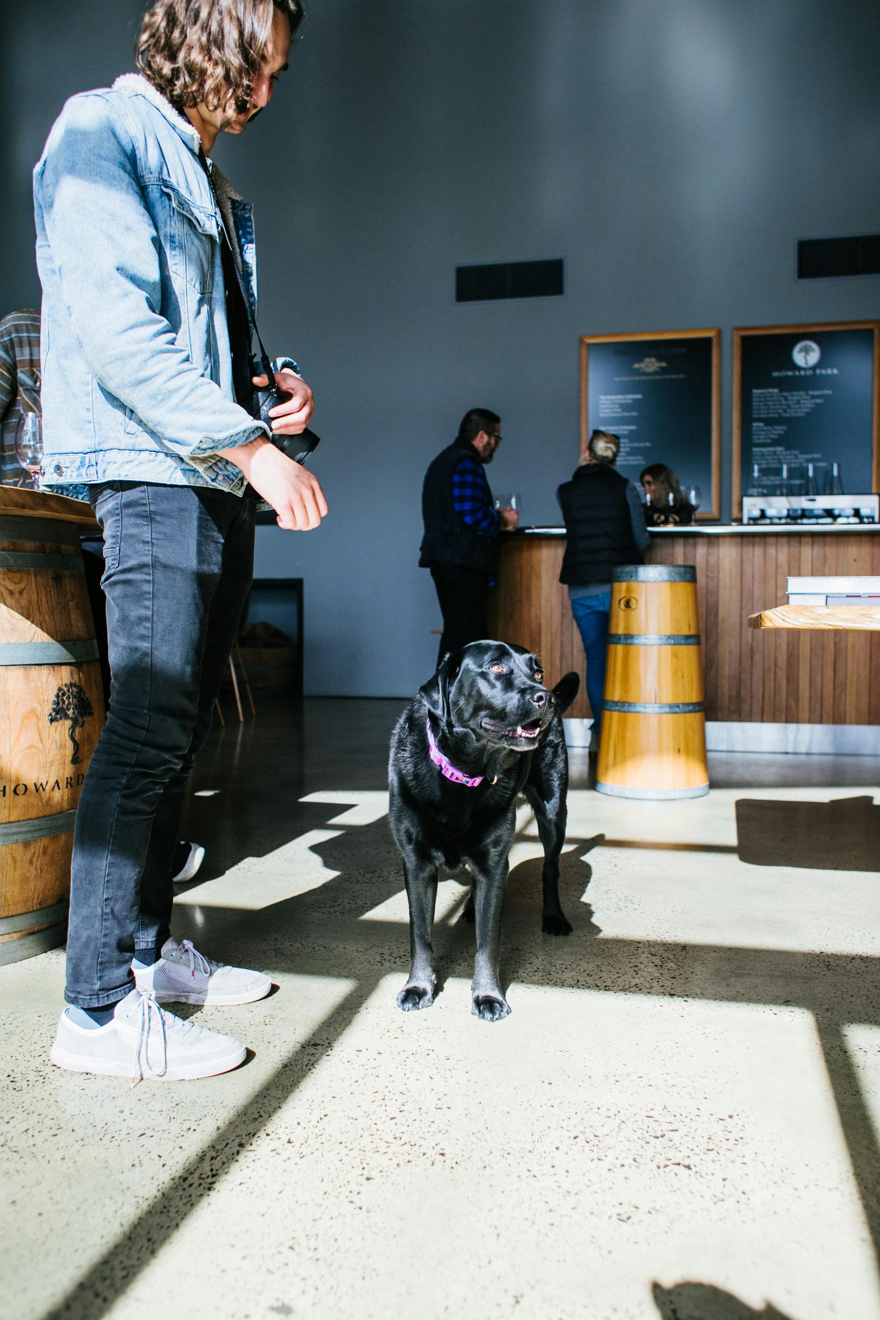 crop owner with dog in sunny cafe