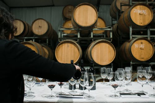 Back view of anonymous sommelier pouring wine from bottle into wineglass while standing at table with glassware in winery against barrels