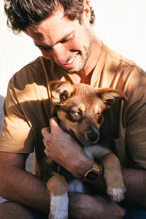 Free Crop man with puppy in hands Stock Photo