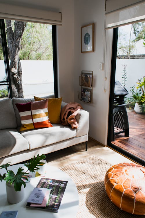 Modern comfortable living room with soft sofa and pillows near table with green potted plant in daytime