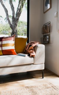 Comfortable soft sofa decorated with colorful pillows in sunny cozy lounge in daytime