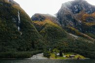 Green Trees on Mountain