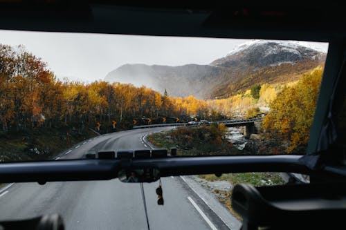 Family-Friendly Foliage Trips To Make Fall Memories
