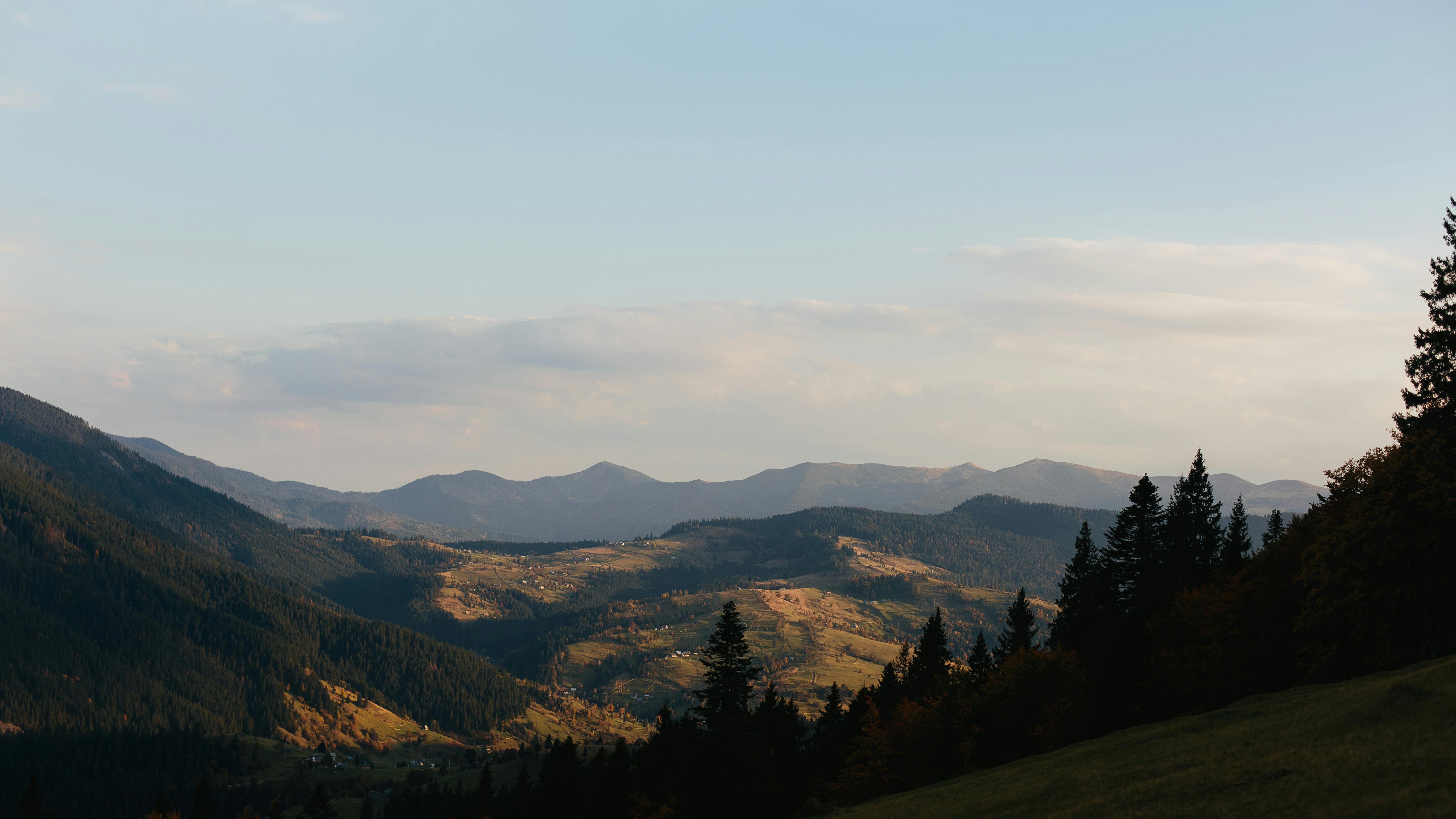 宁静的天空下，山地景观宁静，森林郁郁葱葱