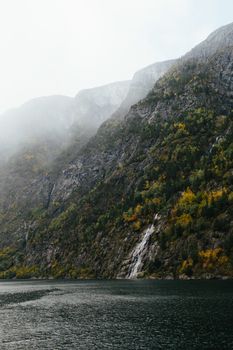 雾气缭绕的山地间，湖水宁静，绿树成荫，展现出一片宁静的自然风光