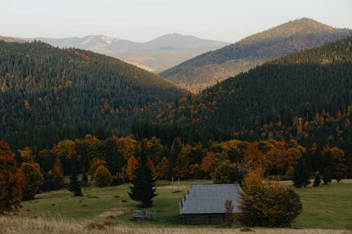Gratis lagerfoto af bjerge, efterår, efterårsbaggrund