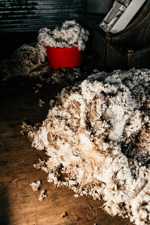 Piles of fluffy wool on floor against fence