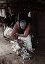 Faceless male farmer shearing domestic sheep and cutting off fluffy woolen fleece in barn in farmland