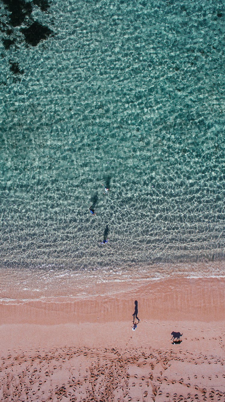 Faceless Person And Dog Walking On Beach Near Azure Sea