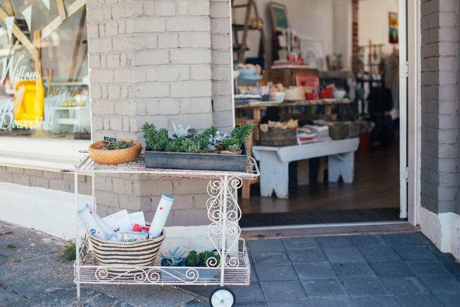Entrance of contemporary shop near green potted plants in sunny weather in daytime