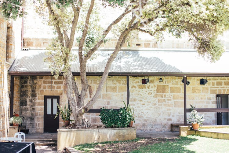 Modern Brick House Decorated With Green Potted Plants