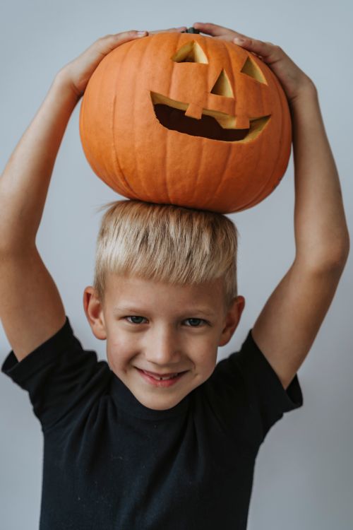 Free Blond boy joyfully holds carved Halloween pumpkin with a smile. Stock Photo