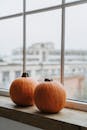 窗台上的两个南瓜与城市景观，凸显了室内的秋意