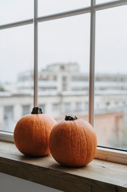 Two pumpkins on a windowsill with an urban view, highlighting autumn indoors.