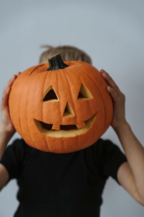 Free Child holding a carved pumpkin with a jack-o'-lantern face for Halloween fun. Stock Photo