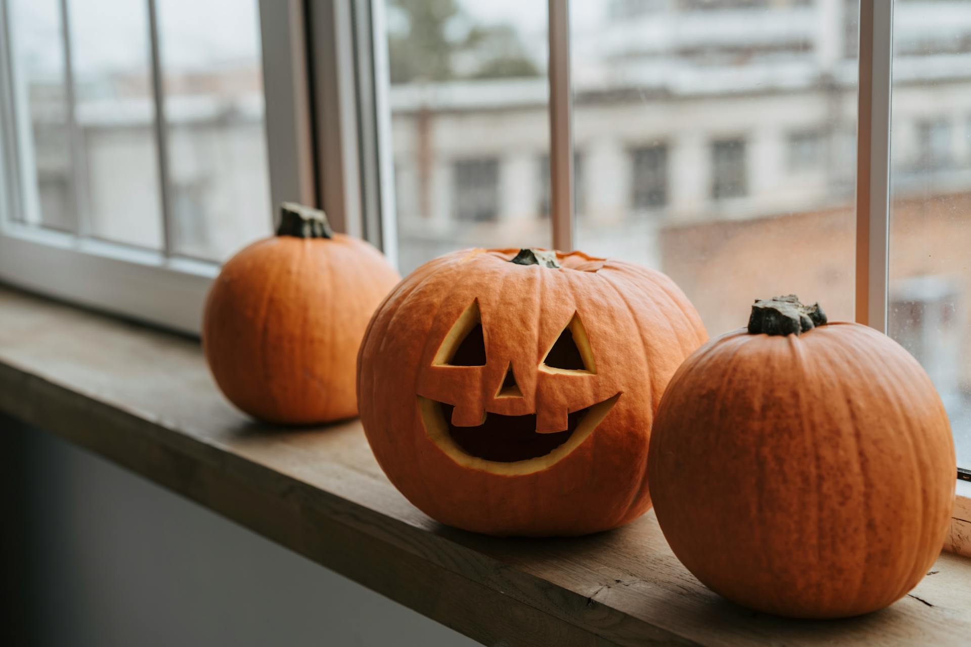 Pumpkins and Jack O Lantern Next to a Window